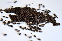 Carafa I Special (Dehusked) (German)